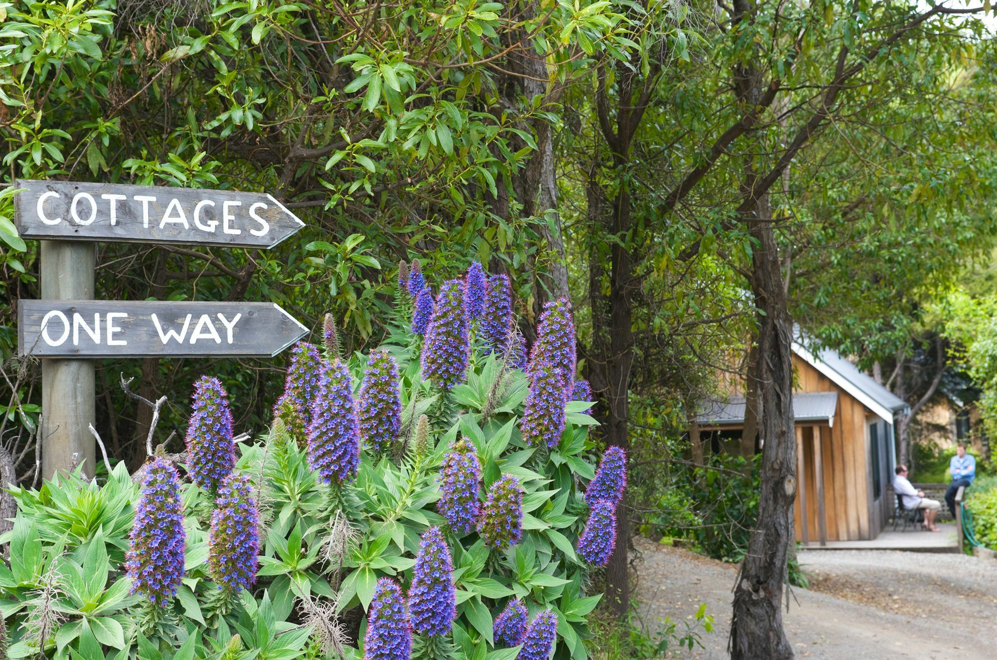 Akaroa Cottages - Heritage Collection Bagian luar foto